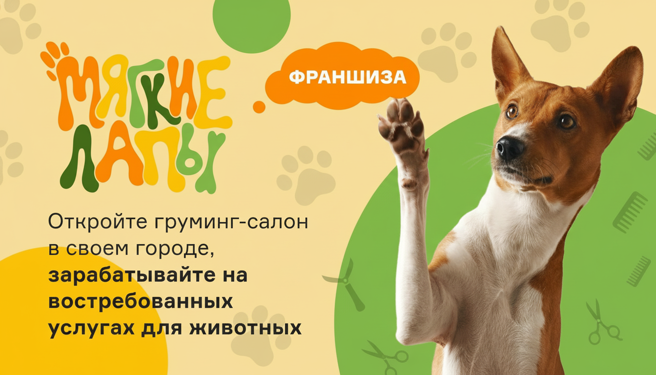 «Мягкие лапы» — франшиза груминг-салона