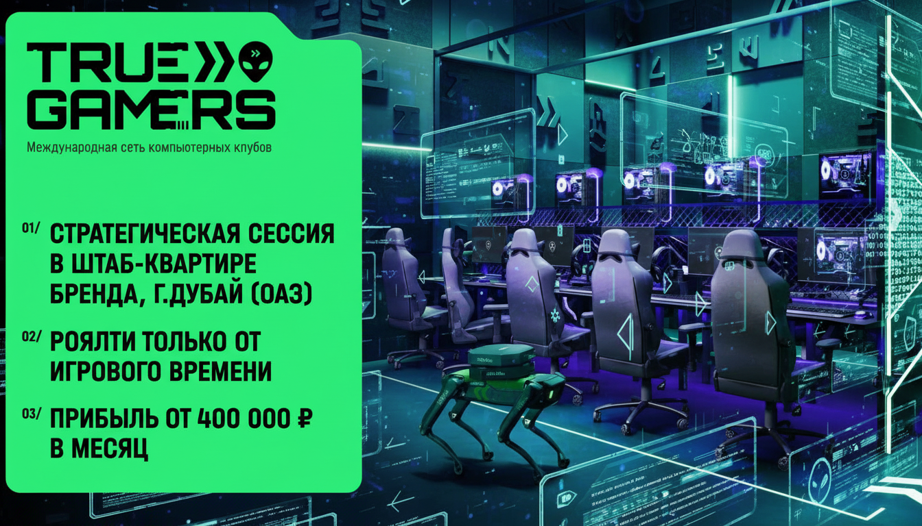 Франшиза компьютерных клубов TRUE GAMERS