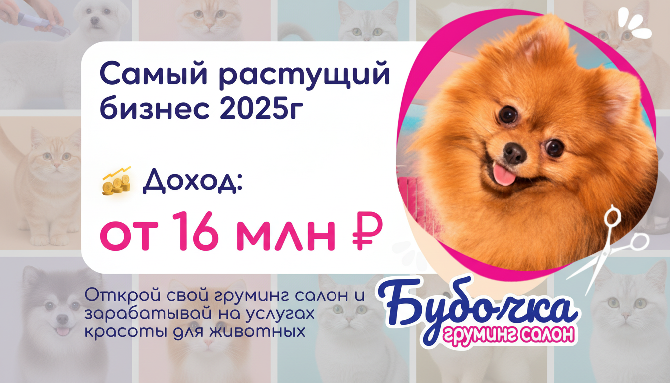 Франшиза груминг-салона «Бубочка»